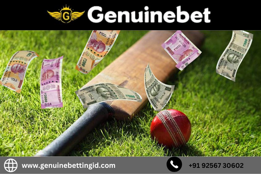Why Is Betting Site Organization the Most Trusted For Cricket ID Creation?